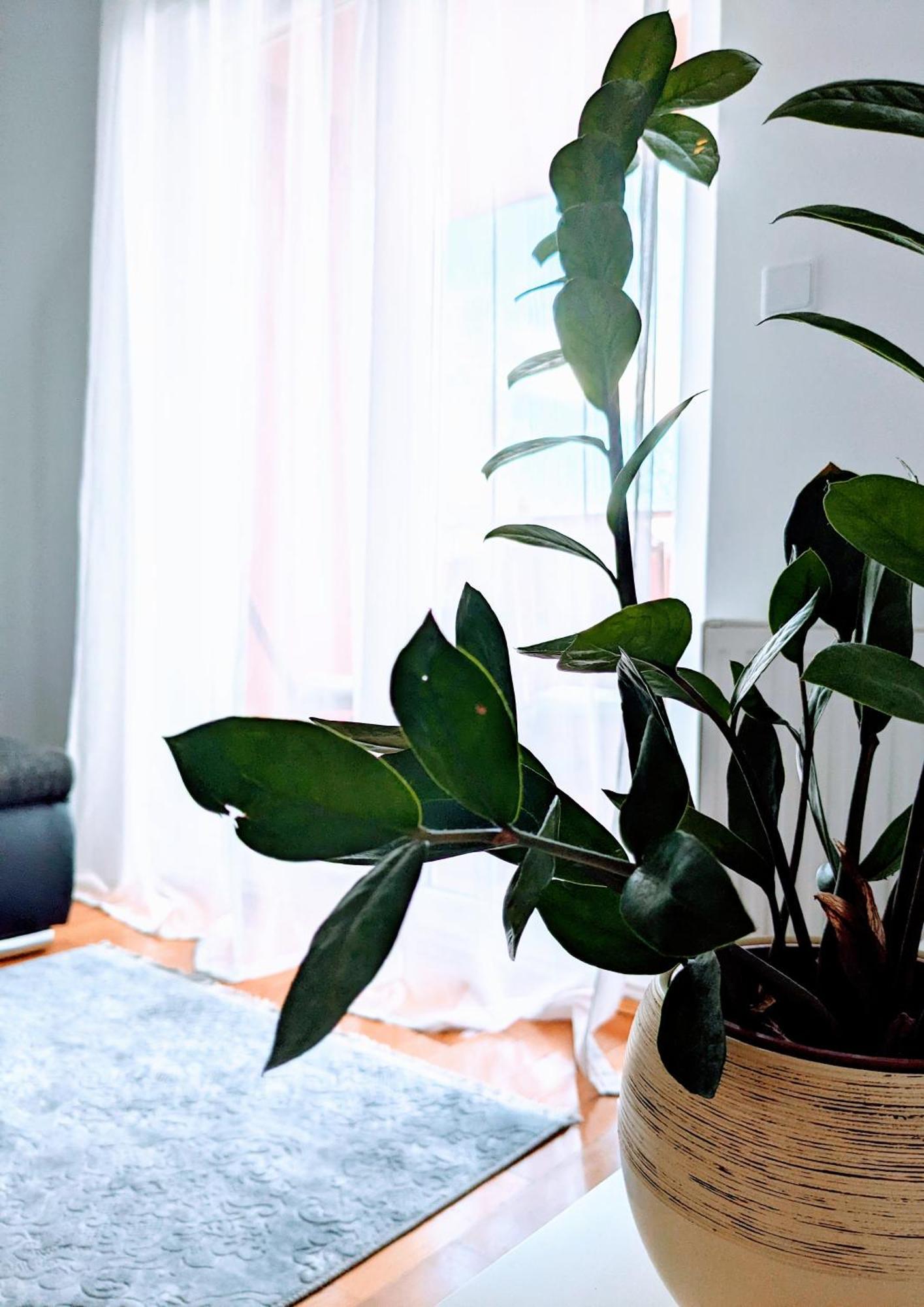Doma-Lu Apartment-Near Airport And Highway- Free Parking Velika Mlaka Exterior foto